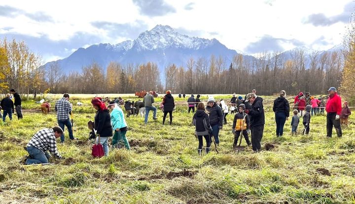 Community members dig potatoes at the Rebarchek Farm Harvest Day