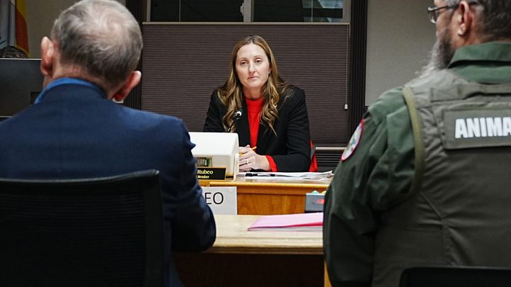 Rubeo wins three-way race for Wasilla mayor; incumbent council members reelected