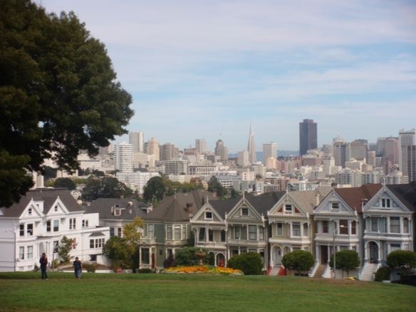 The Land of the Prius