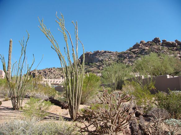 Kath & Kim and the Garden Sprinkler System