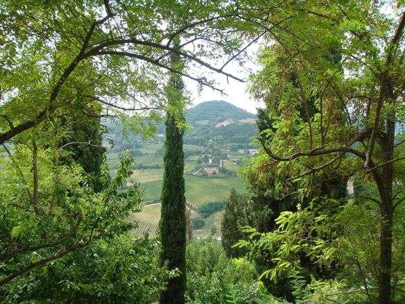 Under the Tuscan Sun