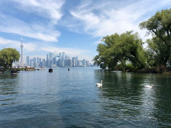 A Year Ago Today - Toronto Edition