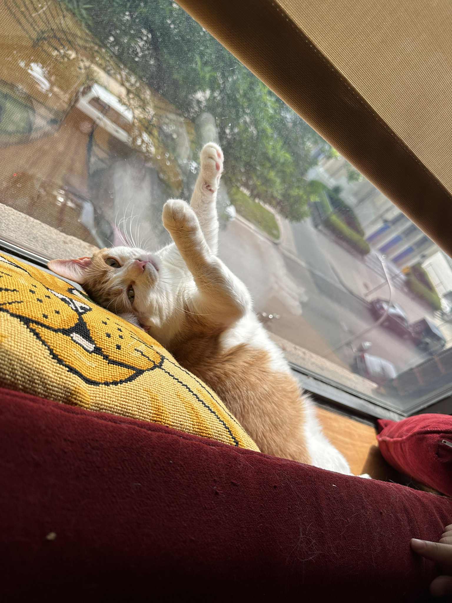 An orange and white cat lying happily on her back in a windowsill on top of a yellow pillow embroidered with a cat face.