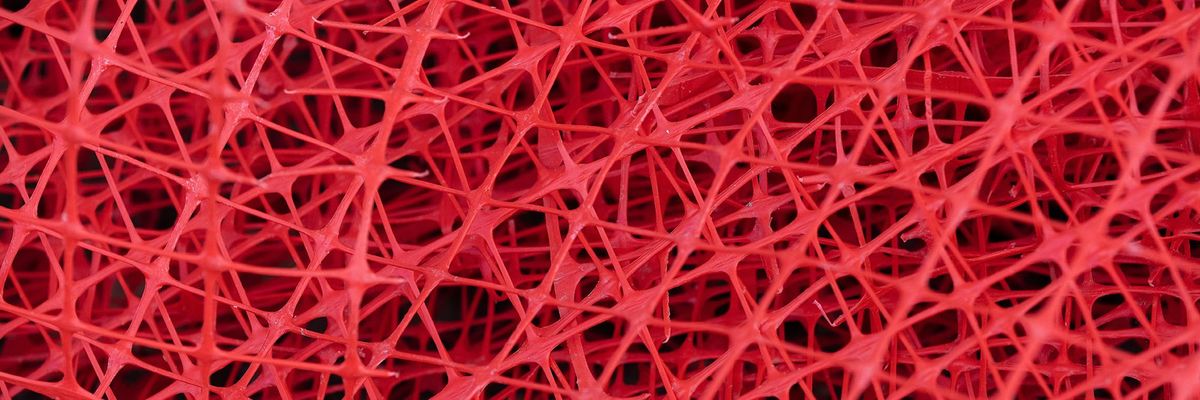 August 2023 Newsletter