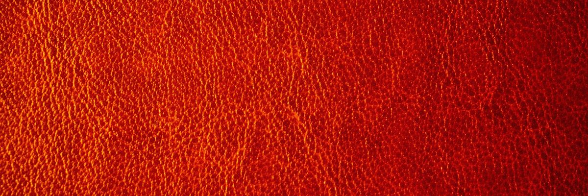 October 2024 Newsletter