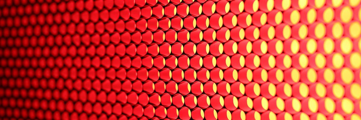 March 2025 Newsletter