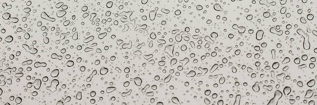 June 2025 Newsletter