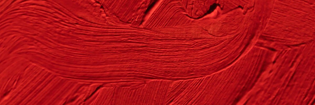 November 2025 Newsletter