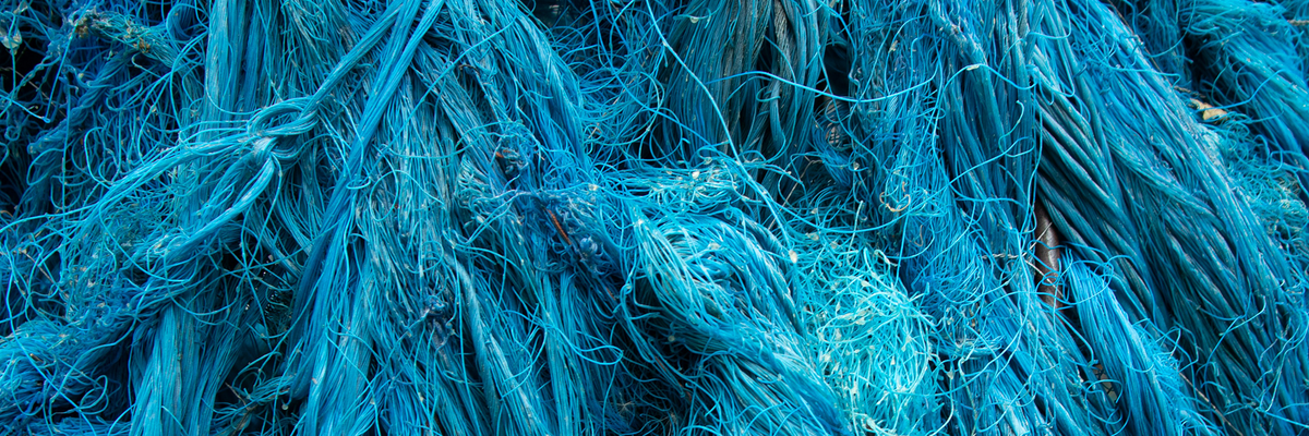 January 2026 Newsletter