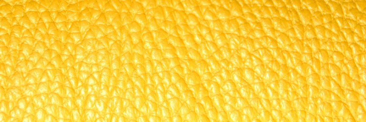 March 2026 Newsletter