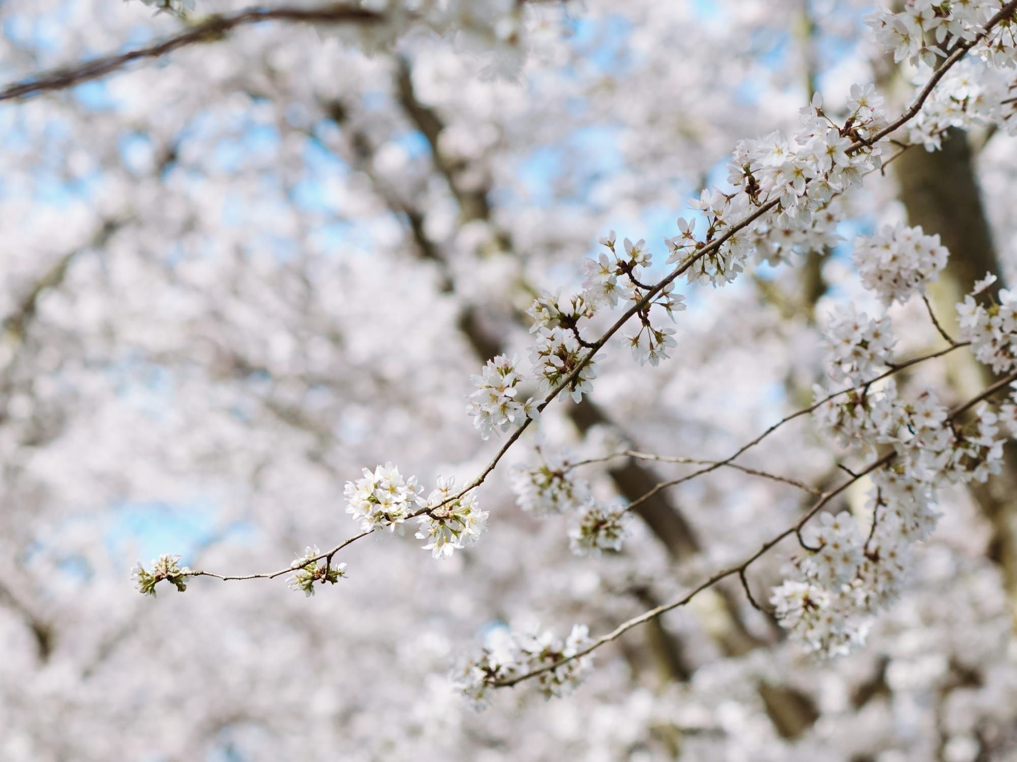 Love, Hate, and What I Ate in March 2024