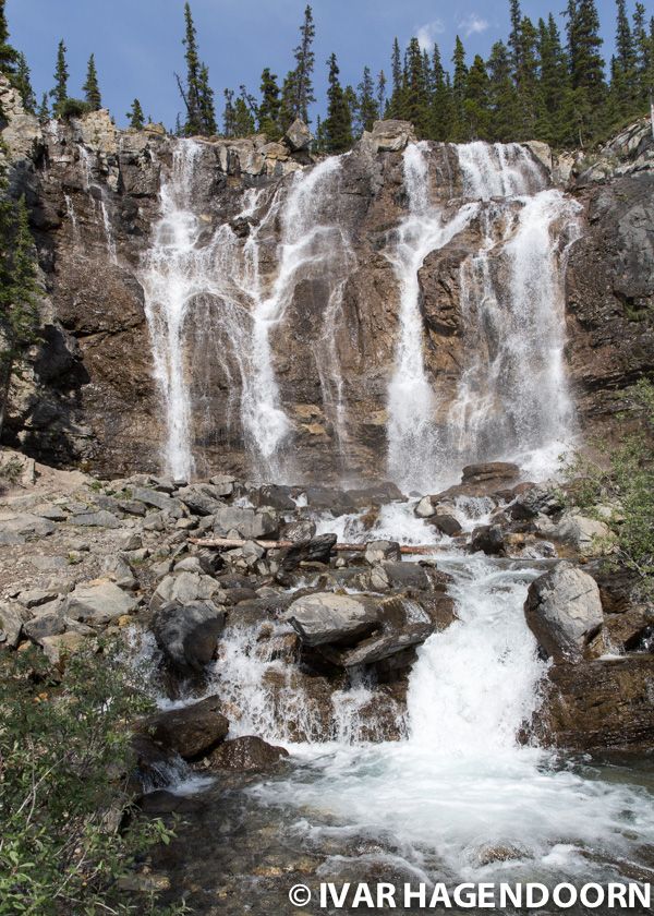 Tangle Creek Falls, Jasper National Park