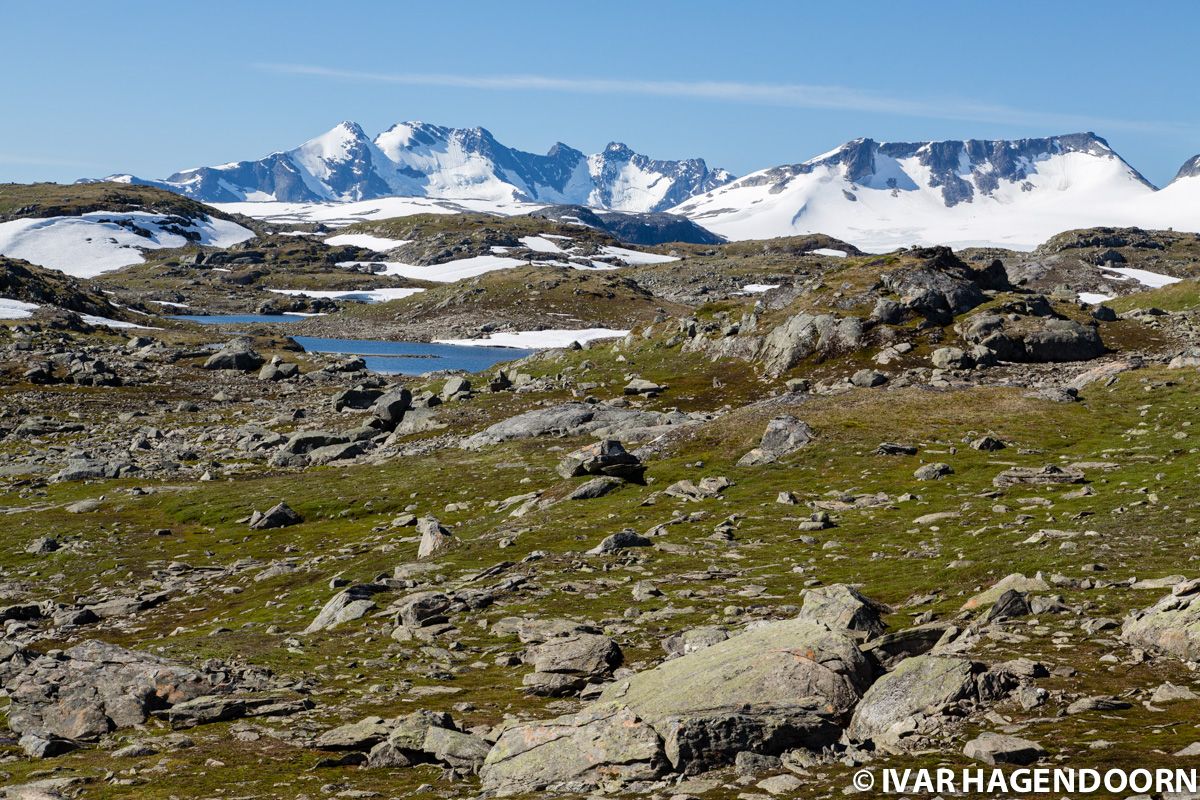 Near the Sognefjellshytta in Jotunheimen National Park