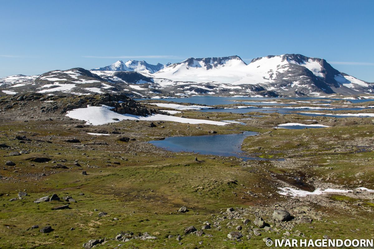 Near the Sognefjellshytta in Jotunheimen National Park, Norway