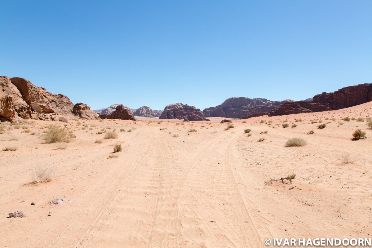 Tire tracks in the desert in Wadi Rum, Jordan