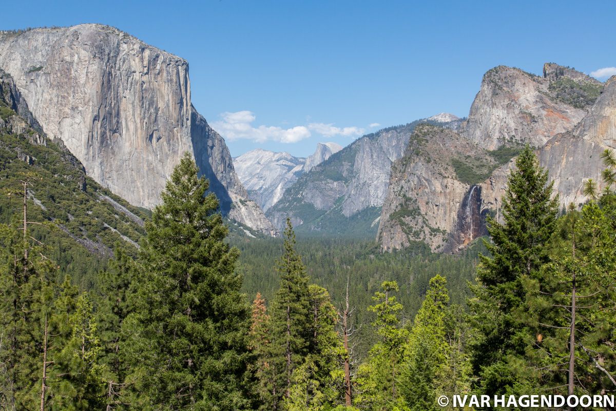 Yosemite National Park