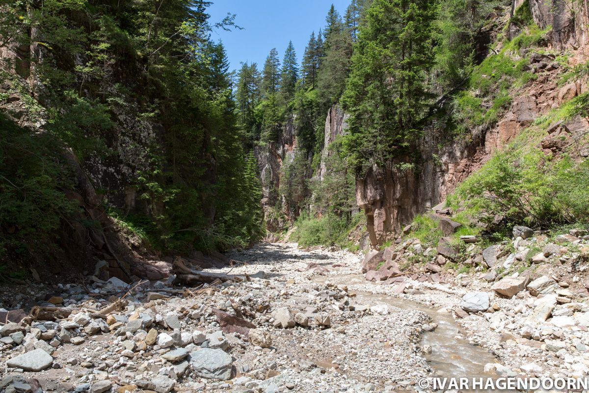 Bletterbachschlucht, Dolomites, Italy
