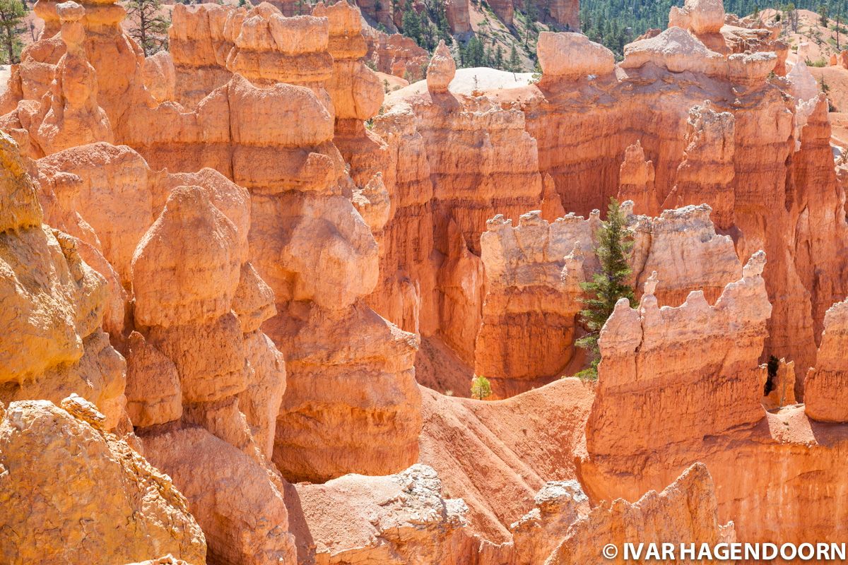 Hoodoos in Bryce Canyon