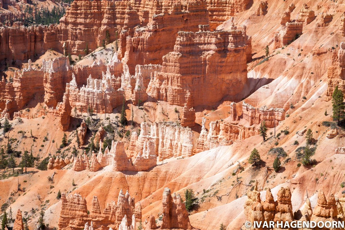 Hoodoos in Bryce Canyon