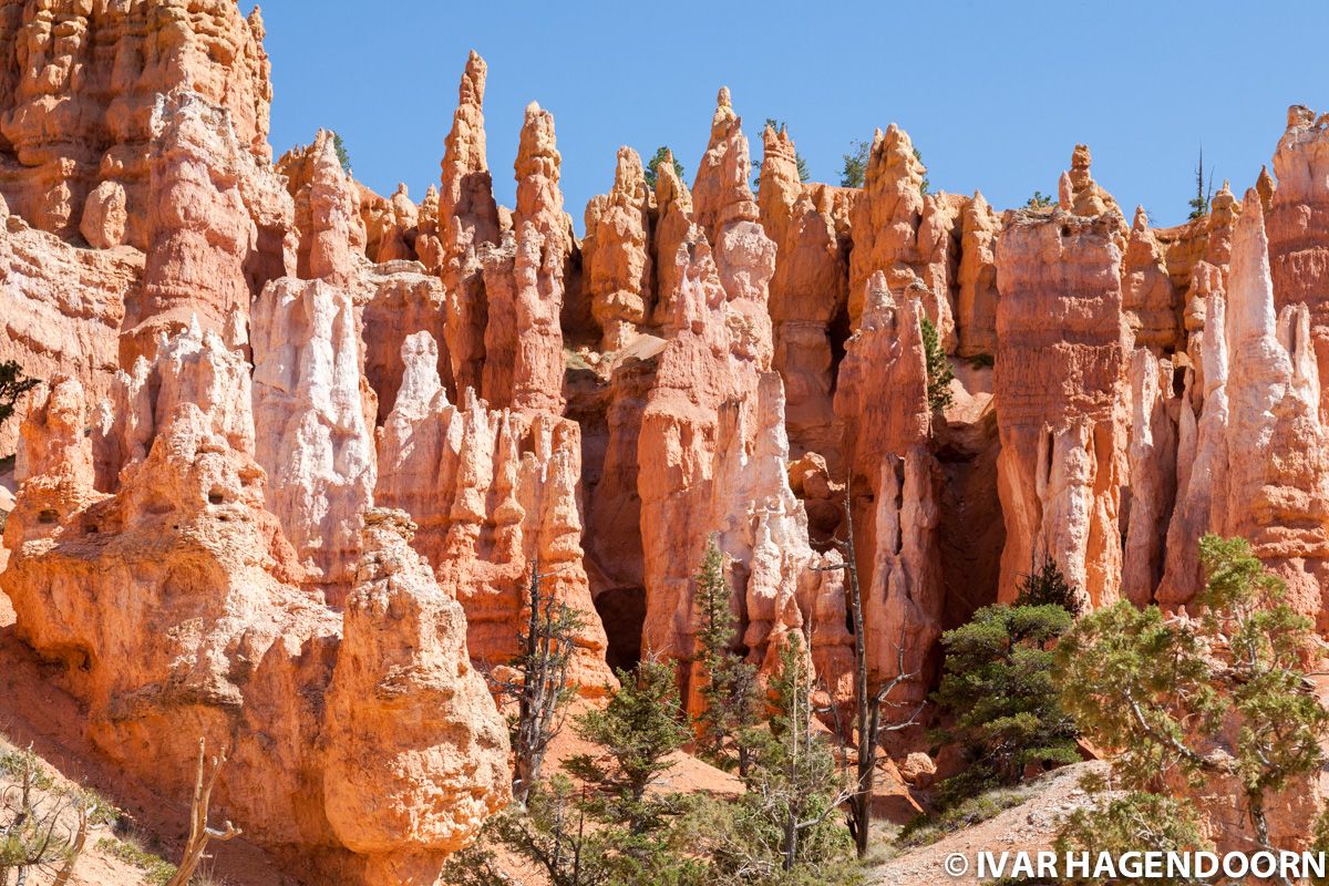 Hoodoos in Bryce Canyon