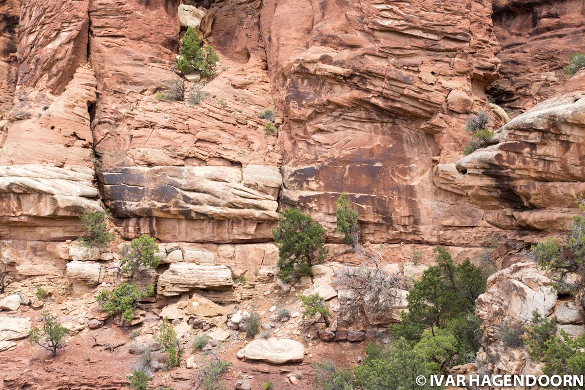 Canyon wall, Canyonlands National Park