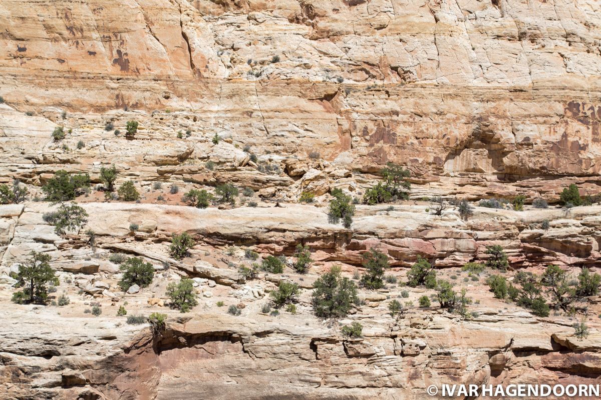 Zooming in on a canyon wall in Capitol Reef National Park