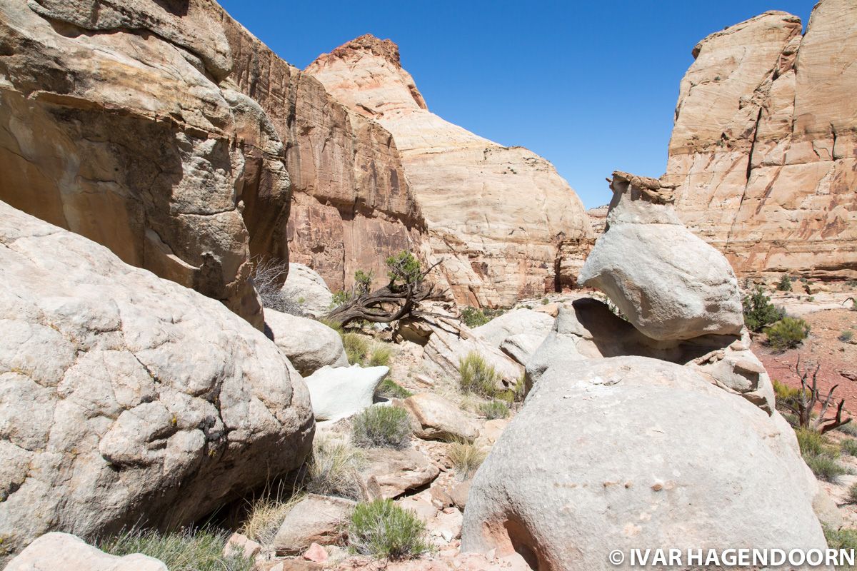 Somewhere along the Golden Throne trail in Capitol Reef National Park