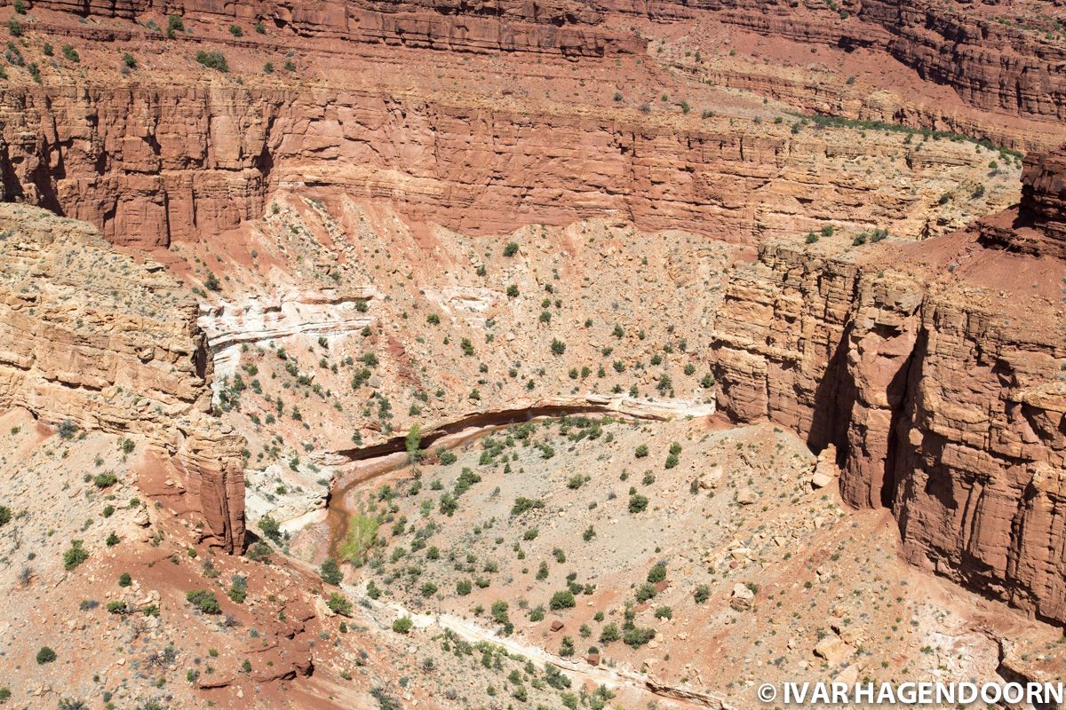 View of Sulphur Creek Canyon from Goosenecks Overlook in Capitol Reef National Park
