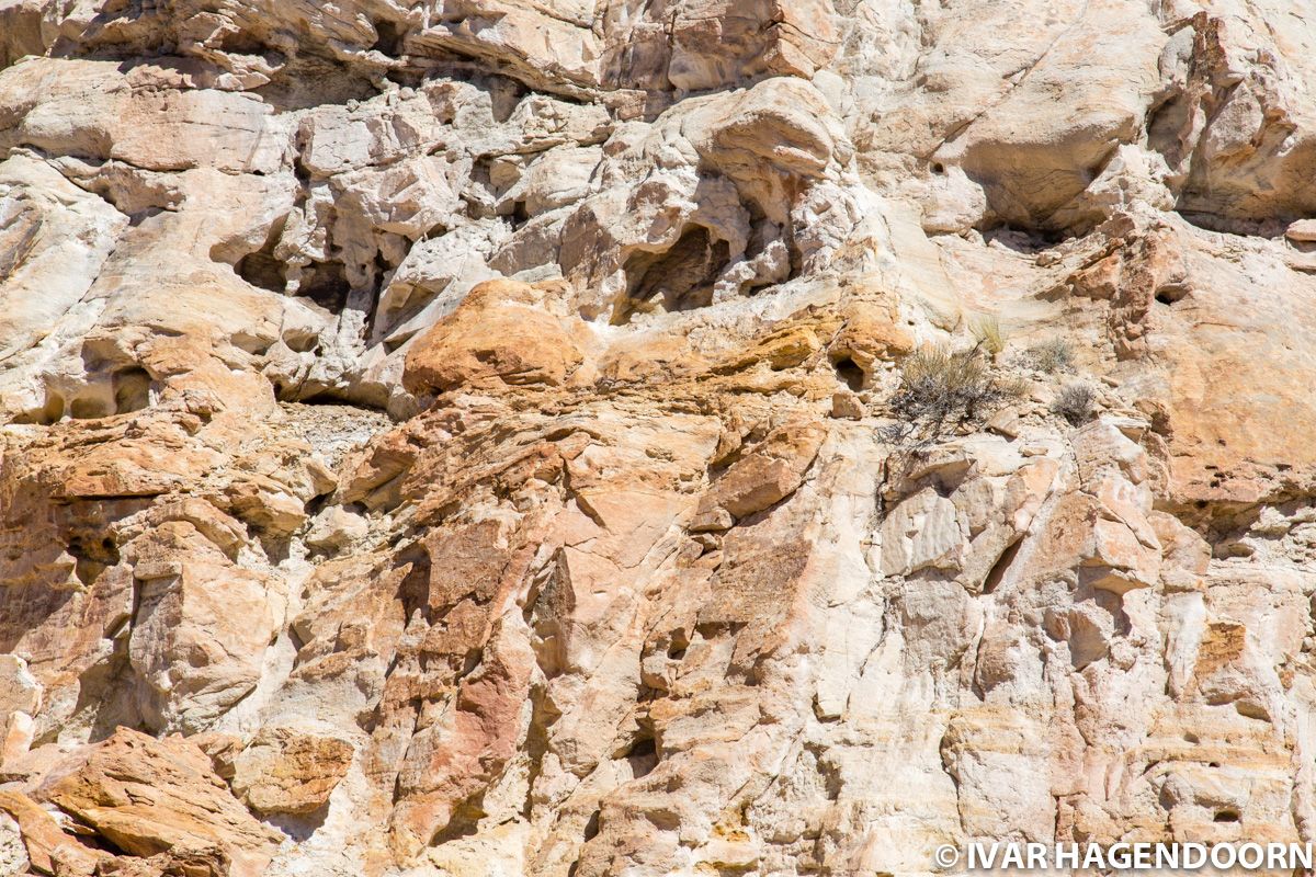 Close-up of a canyon wall in Capitol Reef National Park