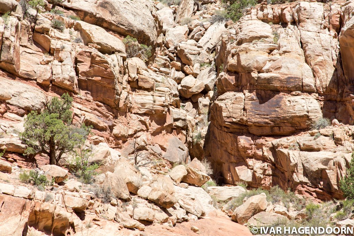 Zooming in on a canyon wall in Capitol Reef National Park