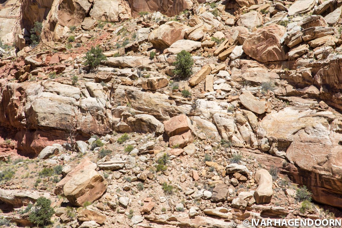 Zooming in on a canyon wall in Capitol Reef National Park