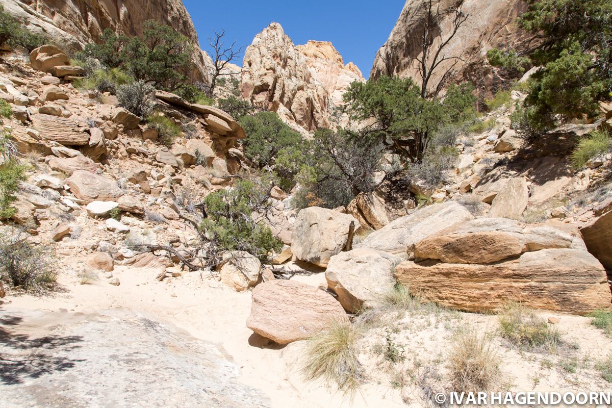 Along the Golden Throne trail in Capitol Reef National Park
