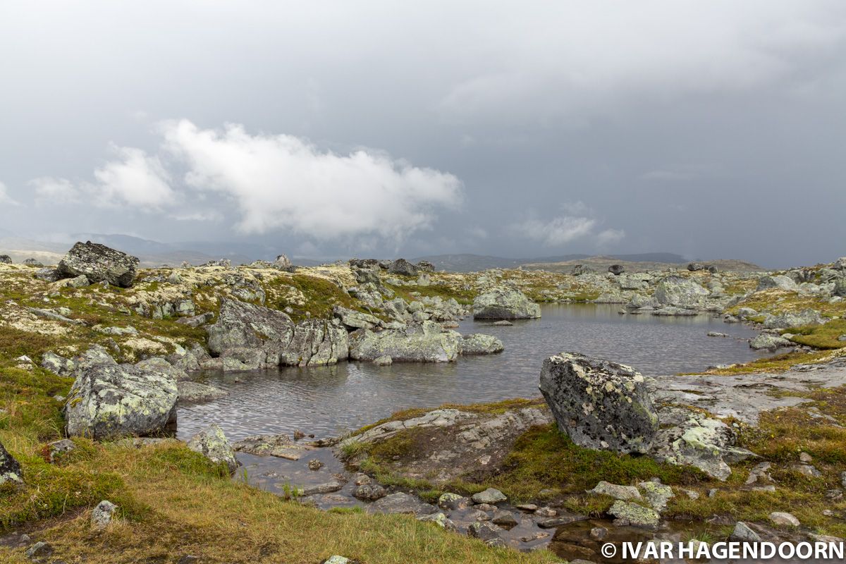 Hardangervidda National Park