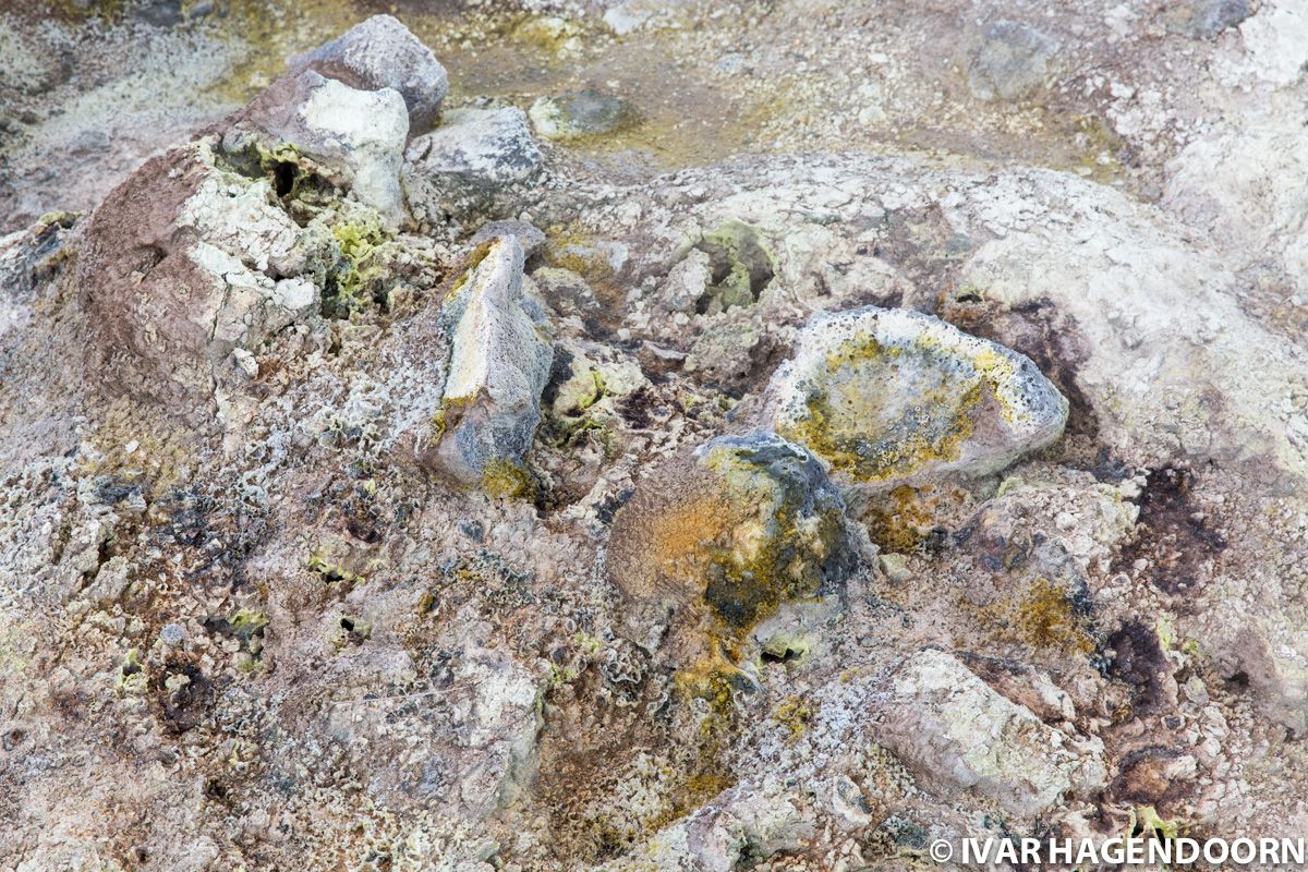 Steam vents at the Námafjall Geothermal Area