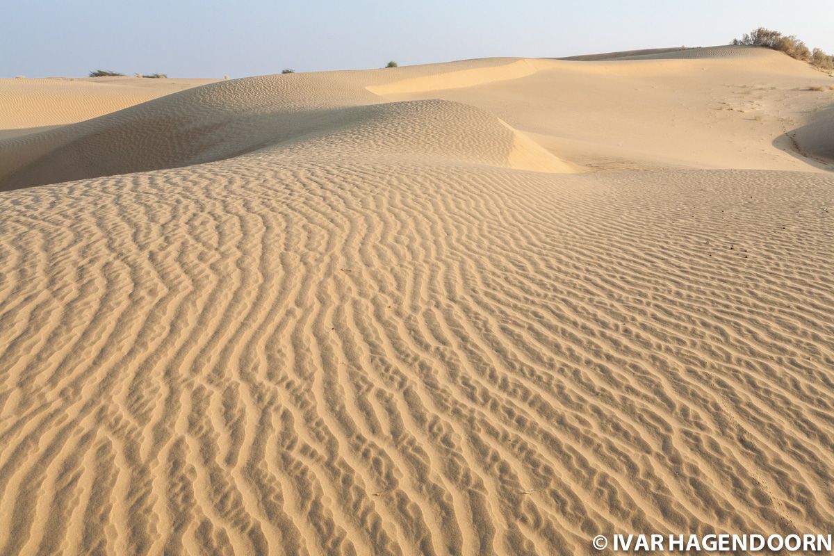 Thar Desert, Rajasthan, India