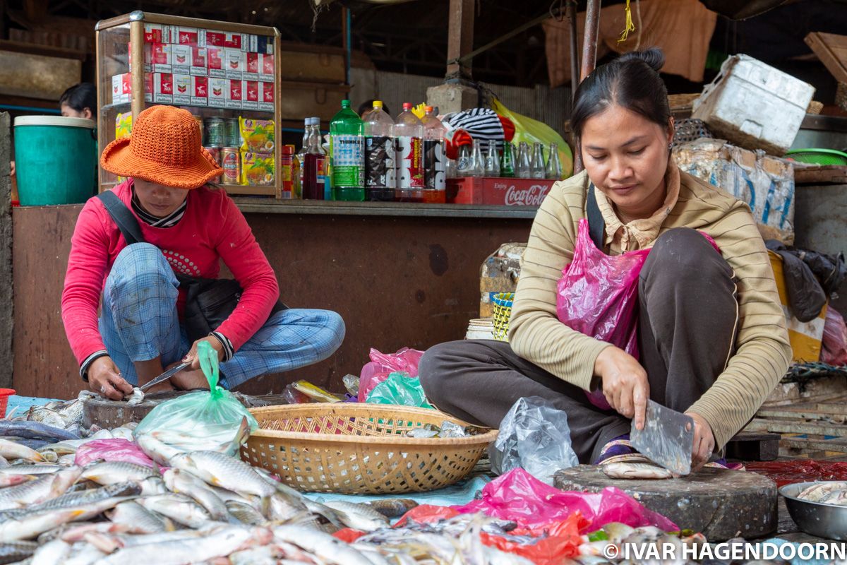 Fish stall at the Psar Leu Market in Siem Reap, Cambodia
