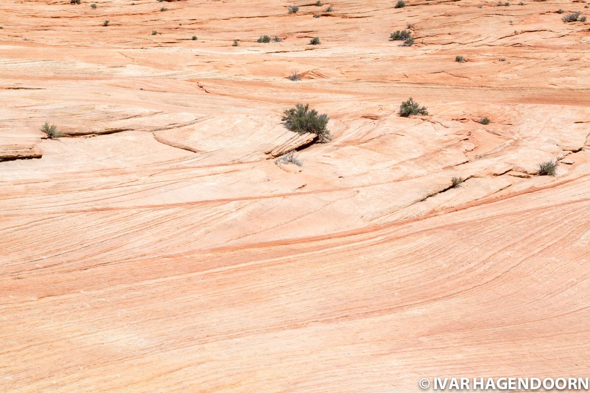 Rock formation in Zion National Park