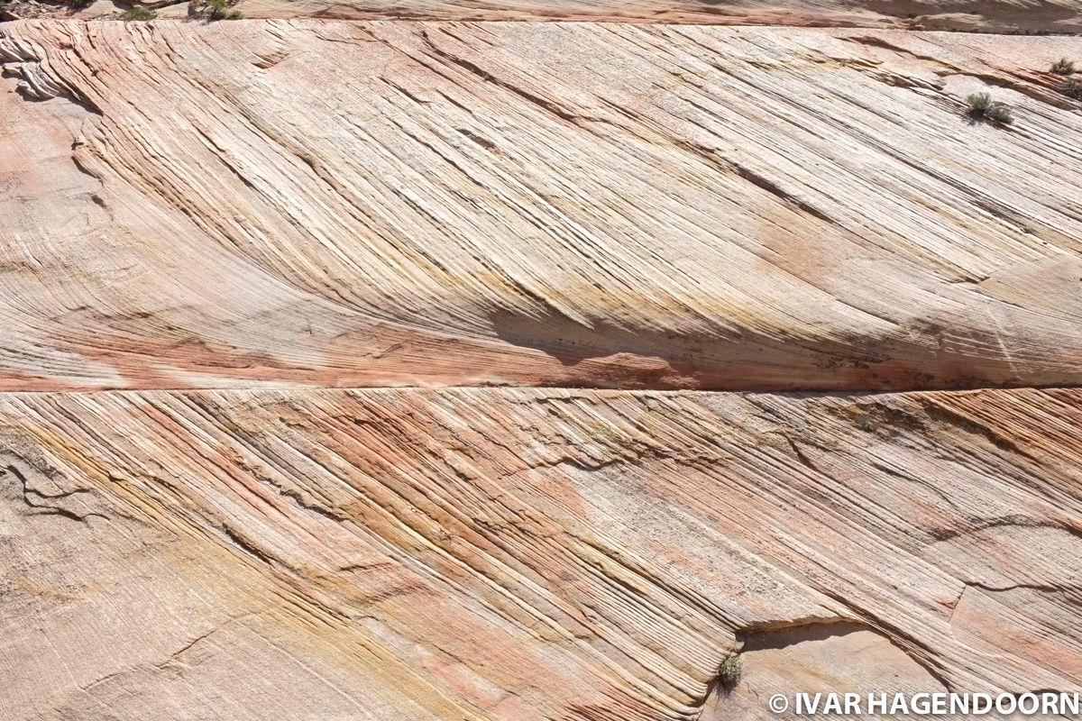 Rock formation in Zion National Park