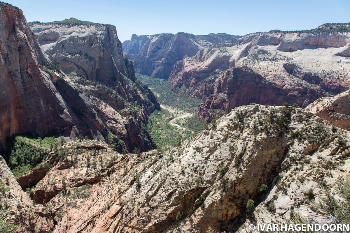 View from Observation Point in Zion National Park