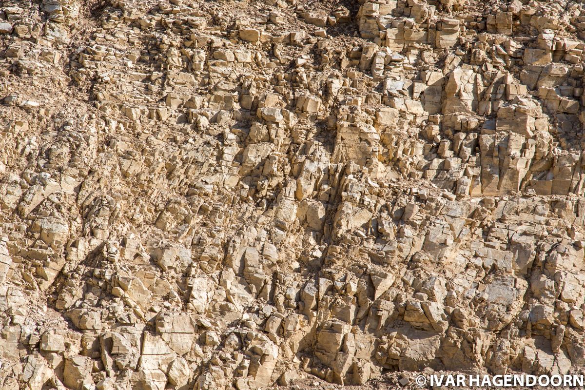 Rock formation in Zion National Park