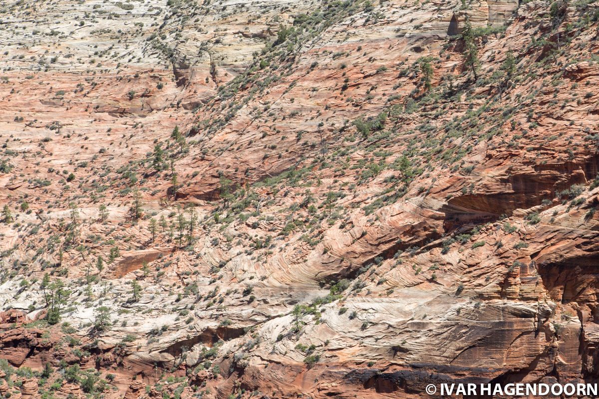 Close-up of a canyon wall in Zion National Park