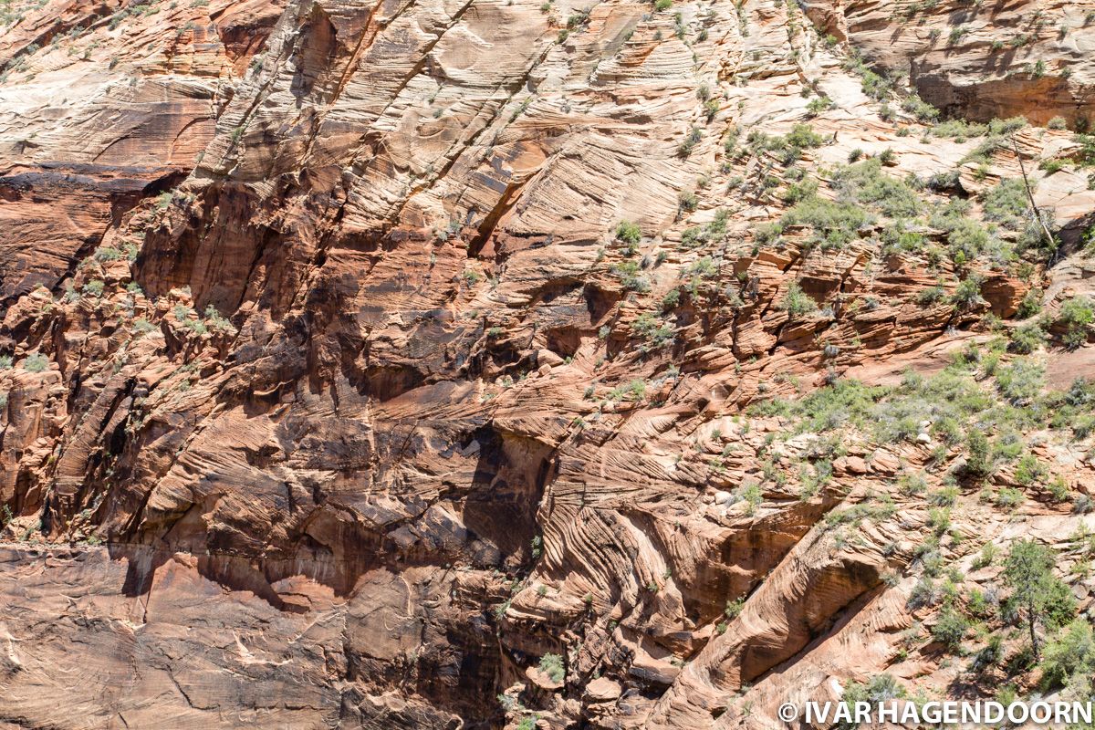 Close-up of a canyon wall in Zion National Park