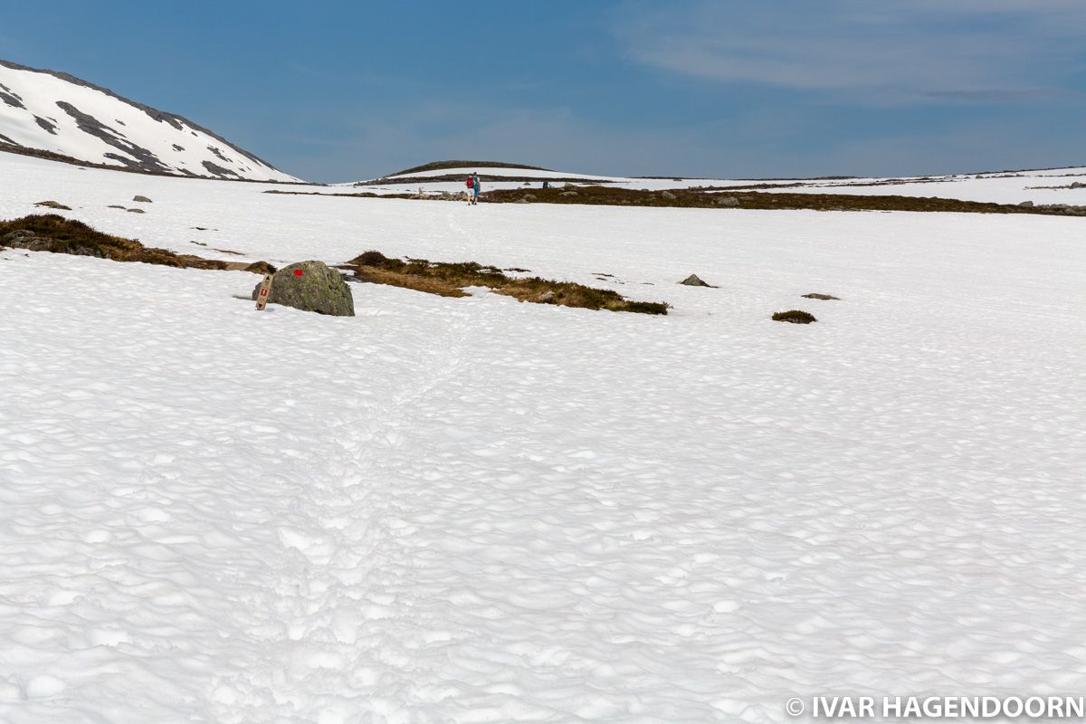 Start of the Romsdalseggen trail