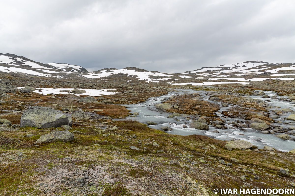 Cloudy day in Jotunheimen National Park