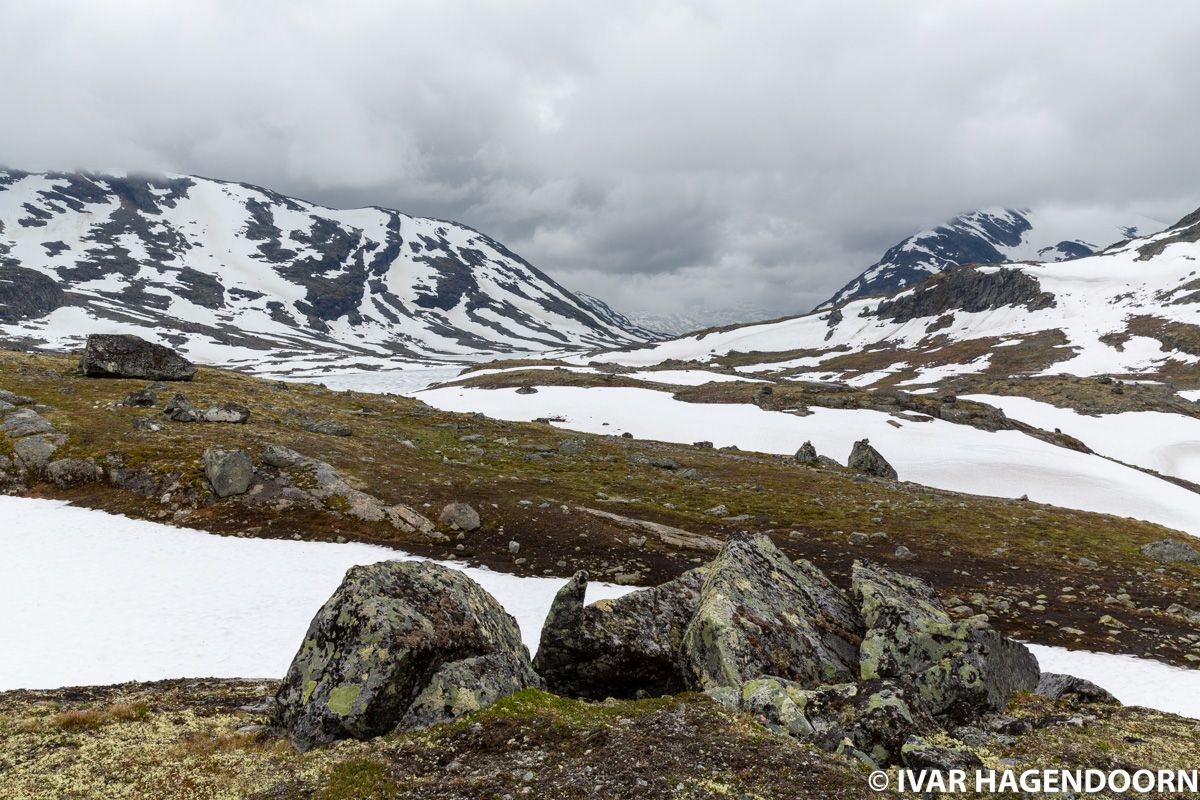 Near Leirvassbu in Jotunheimen National Park