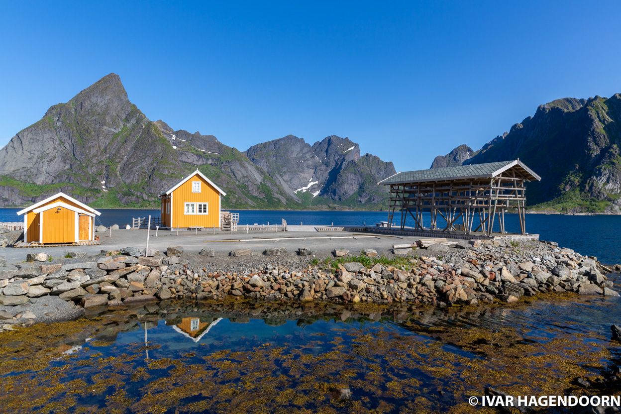 Reine, Lofoten