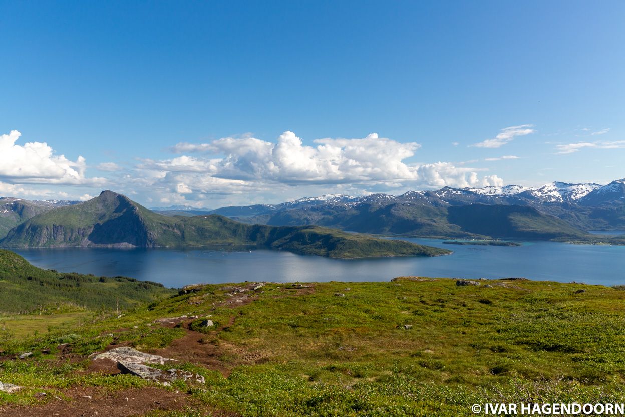Sommardalhaugen Husfjellet
