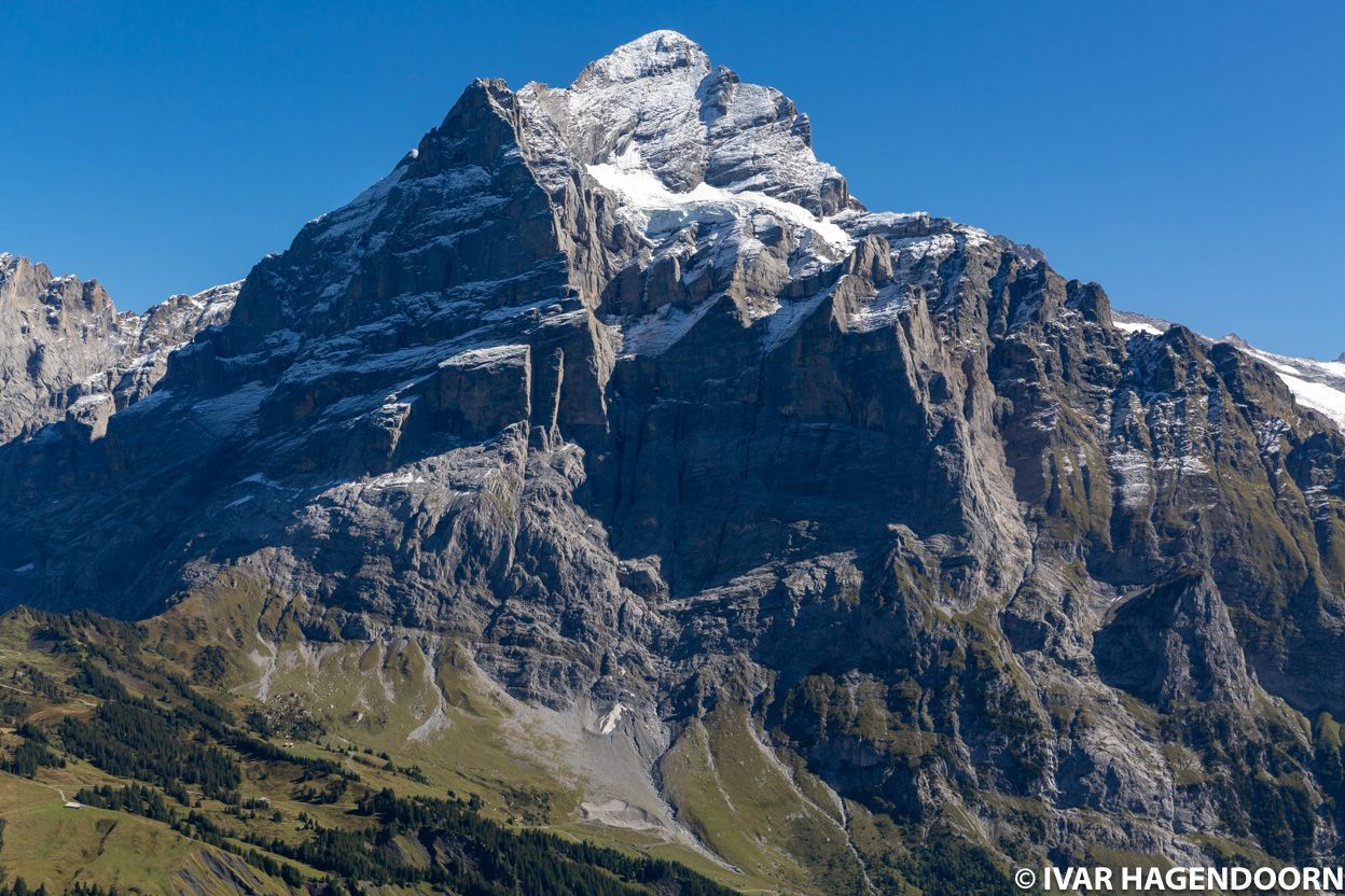 Wetterhorn as seen from First