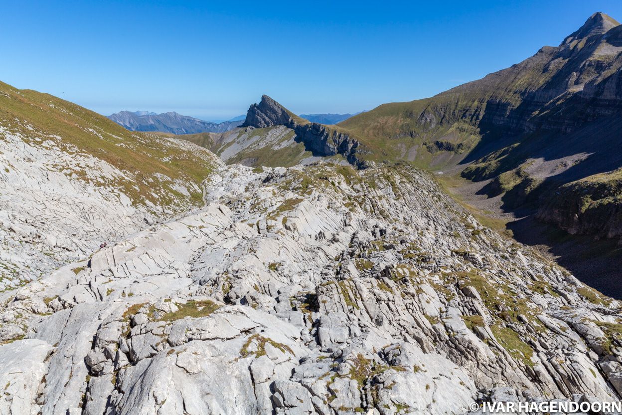 Along the hike from Schynige Platte To Faulhorn To First