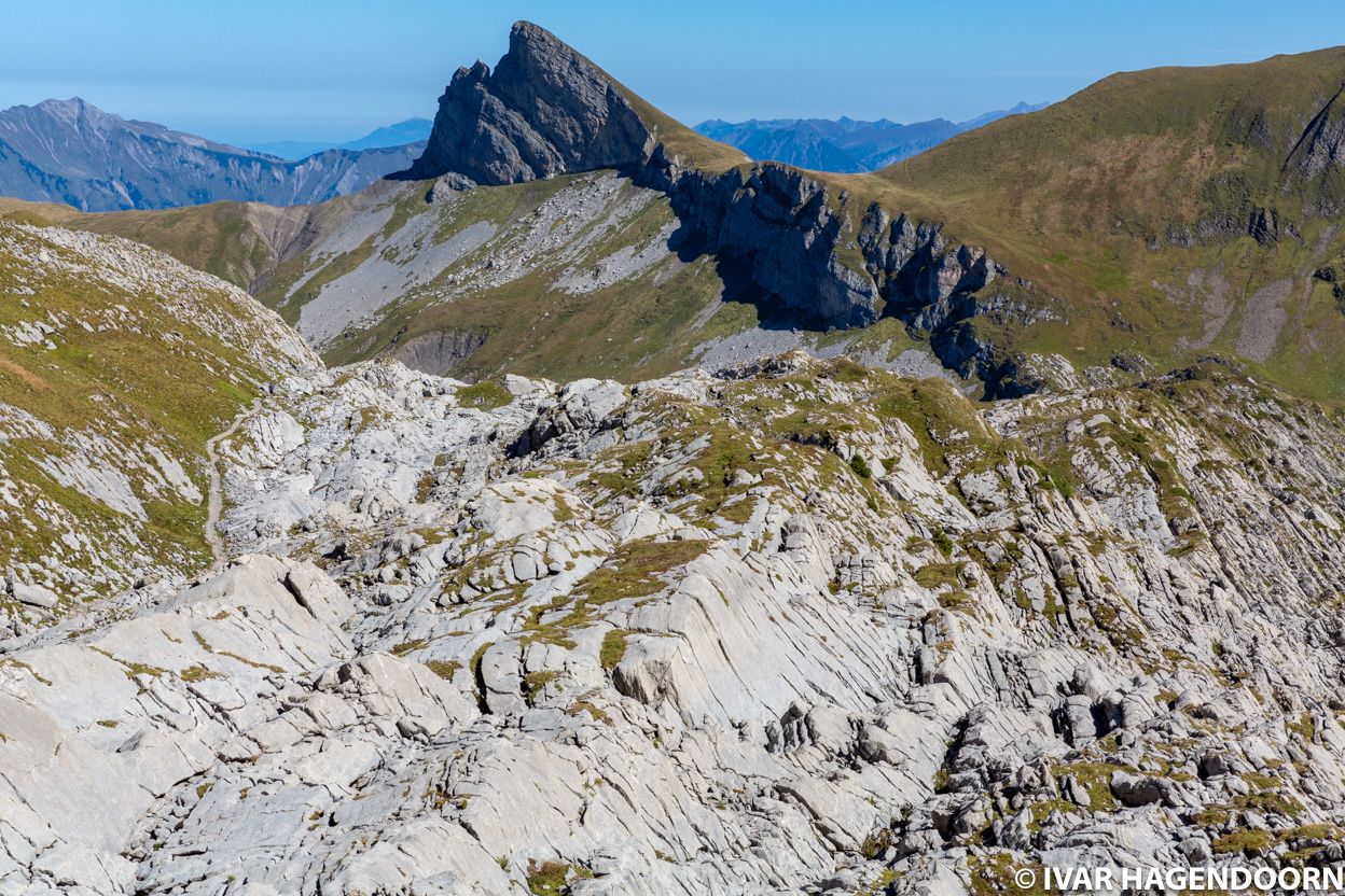 Along the hike from Schynige Platte To Faulhorn To First